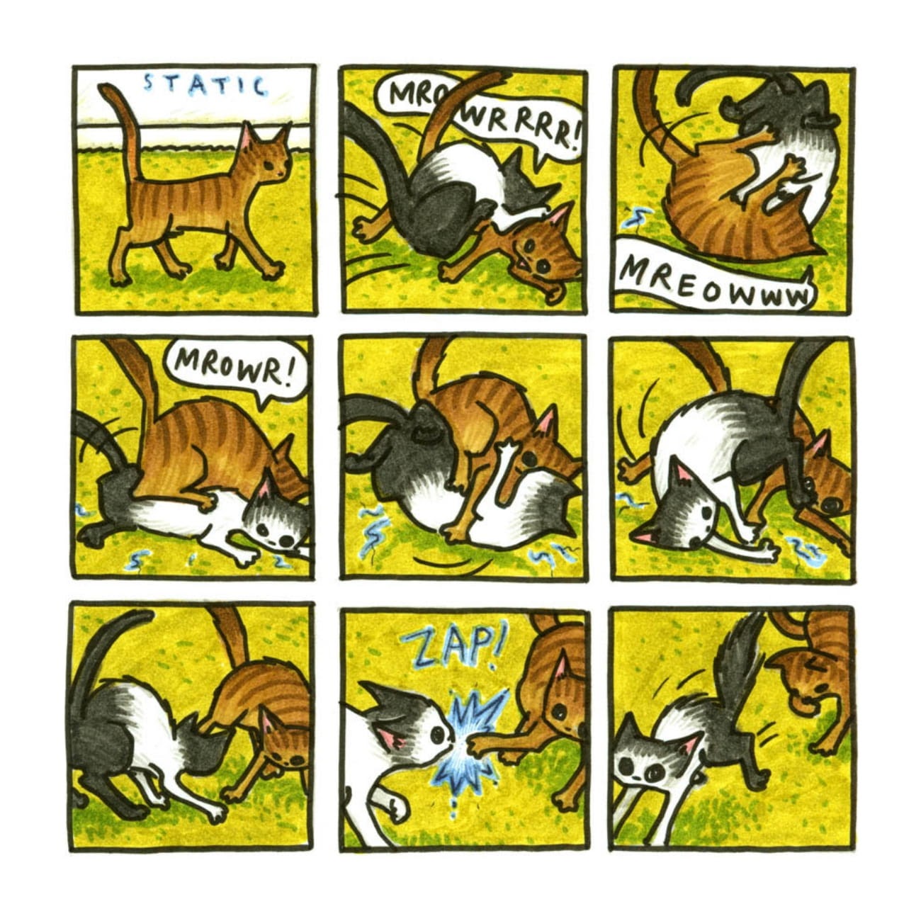 Read online Cats are Weird and More Observations comic -  Issue # TPB - 47