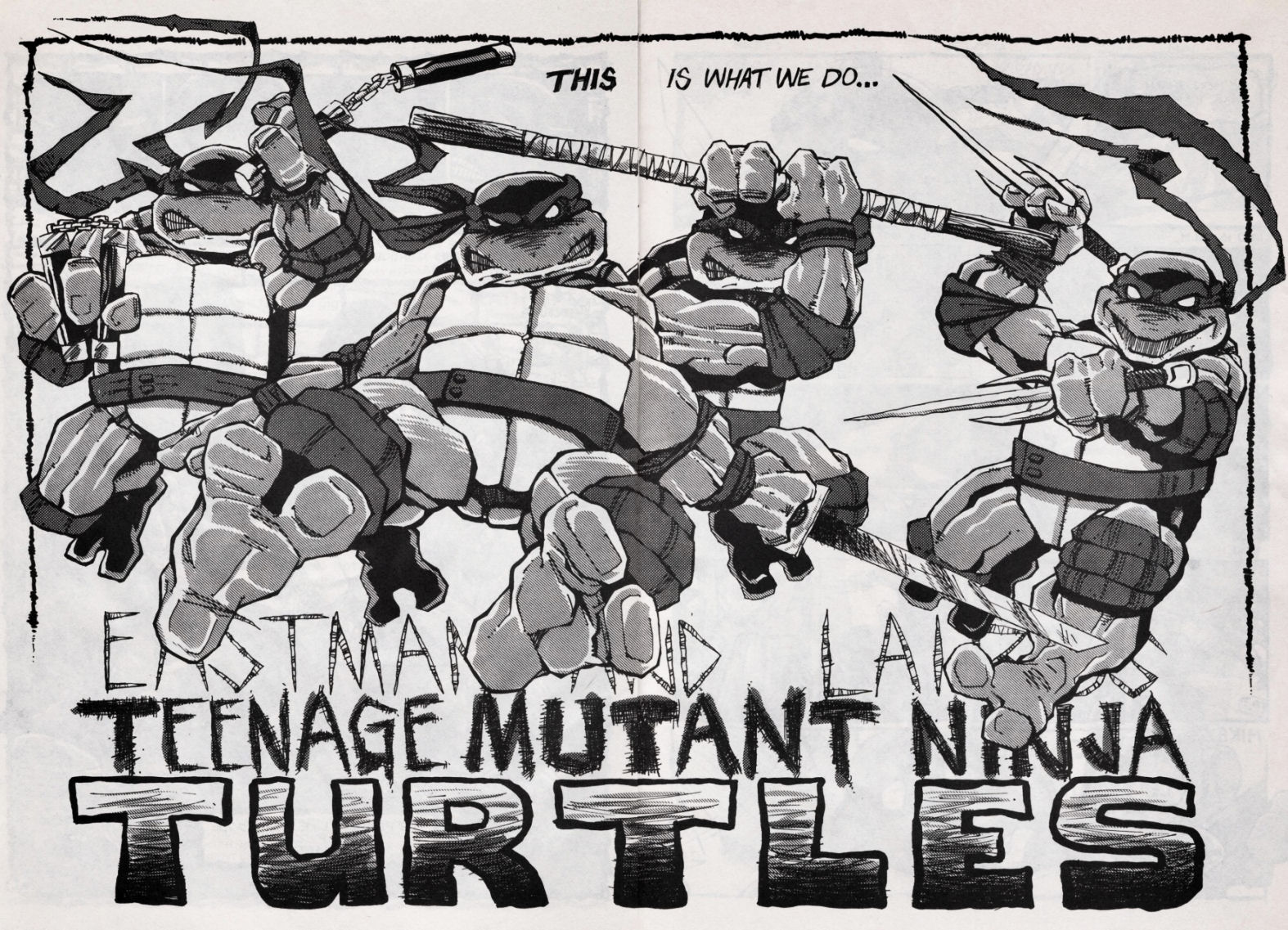 Read online Teenage Mutant Ninja Turtles (1984) comic -  Issue #45 - 3