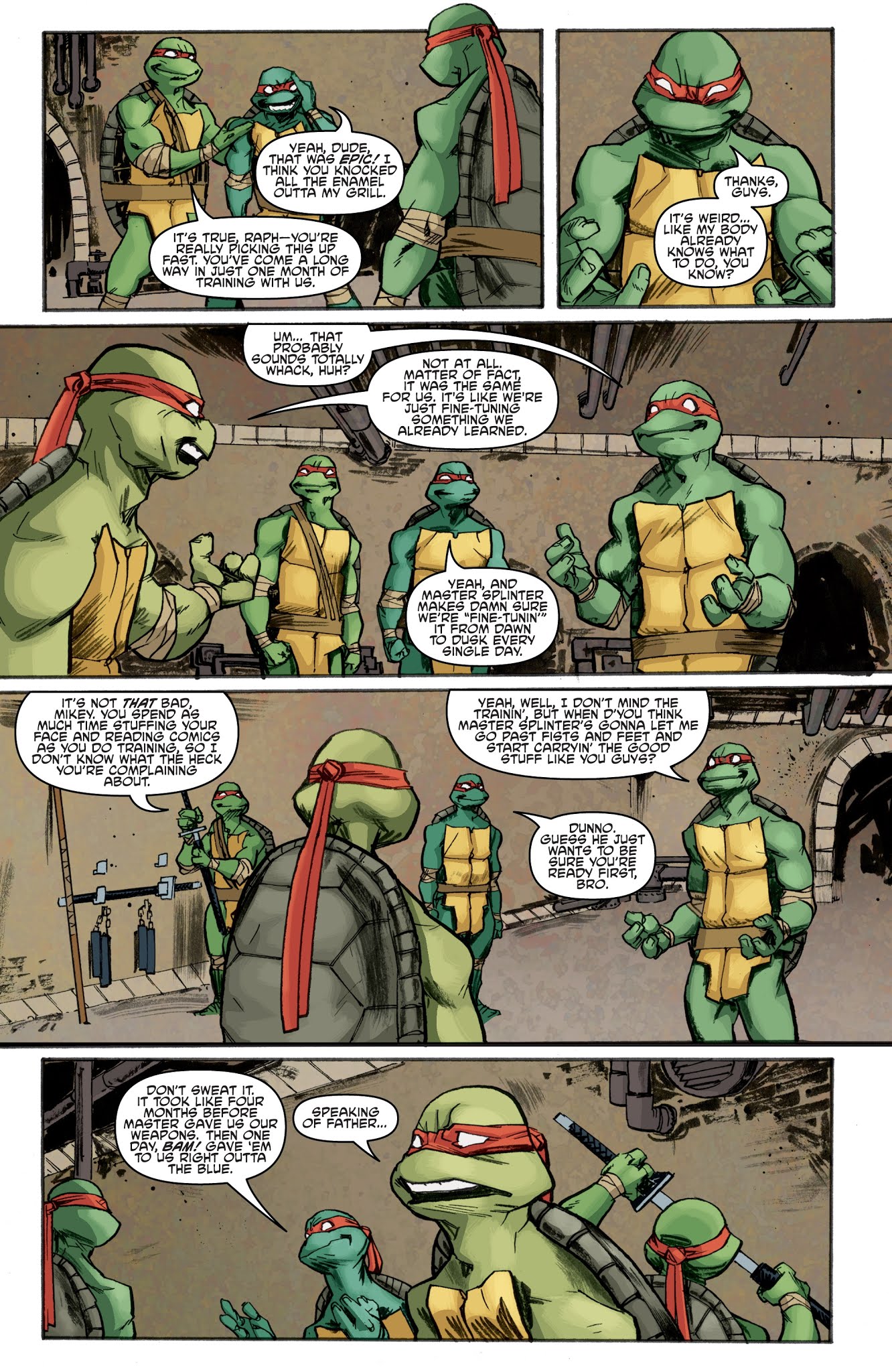 Read online Teenage Mutant Ninja Turtles: The IDW Collection comic -  Issue # TPB 1 (Part 2) - 15