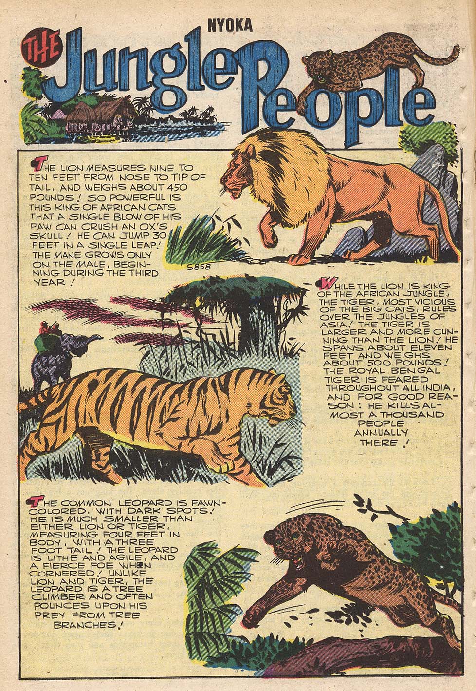 Read online Nyoka the Jungle Girl (1955) comic -  Issue #19 - 18