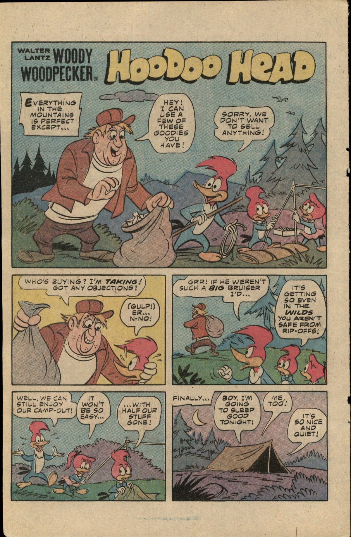 Read online Walter Lantz Woody Woodpecker (1962) comic -  Issue #167 - 12