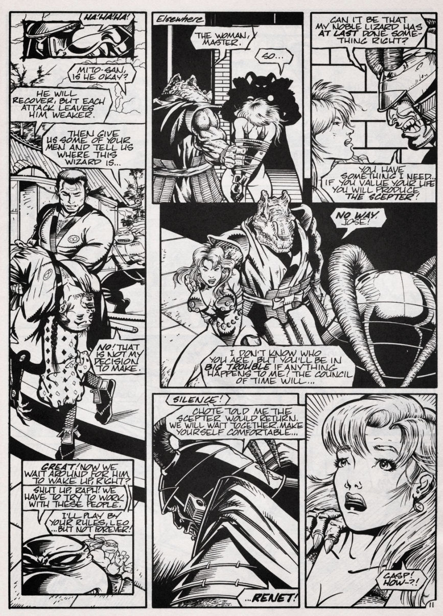 Teenage Mutant Ninja Turtles (1984) Issue #47 #47 - English 12