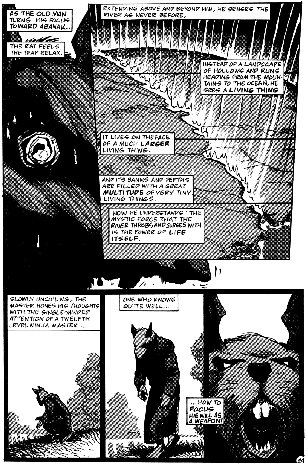 Read online Teenage Mutant Ninja Turtles (1984) comic -  Issue #26 - 26