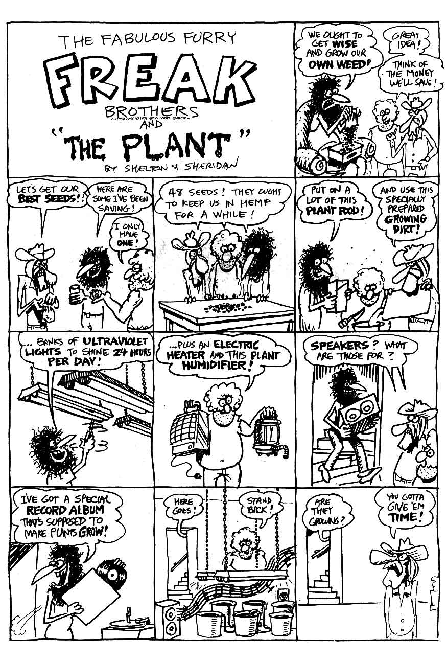 The Fabulous Furry Freak Brothers issue 13 - Page 32