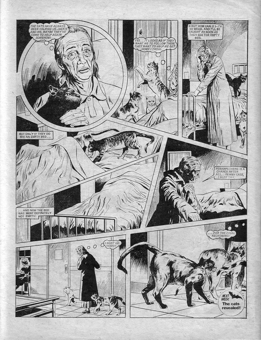 Read online Misty comic -  Issue #39 - 6