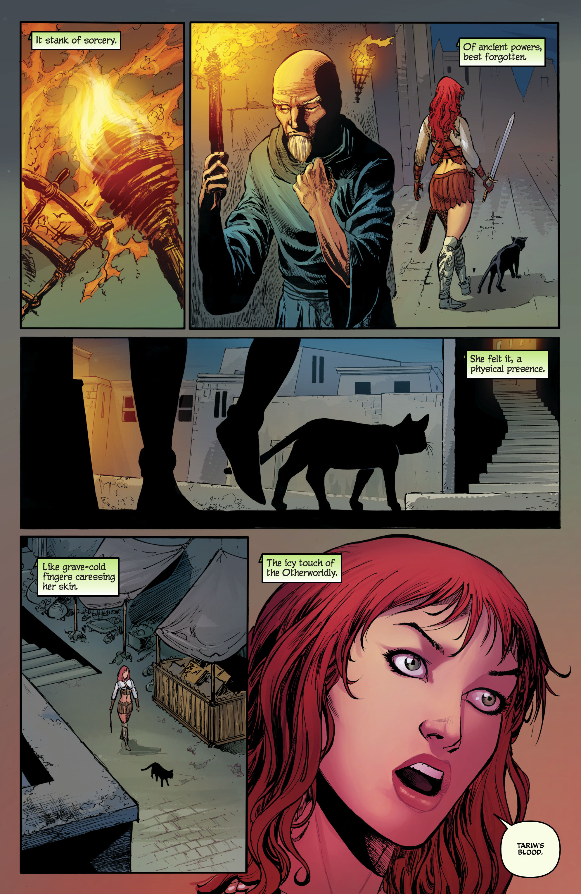 Read online Red Sonja Omnibus comic -  Issue # TPB 4 (Part 3) - 75