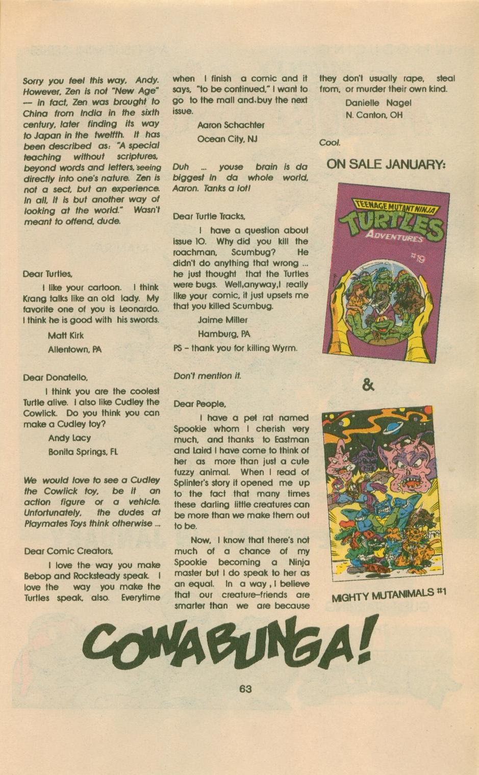 Teenage Mutant Ninja Turtles Adventures (1989) issue Spring 1991 - Page 65