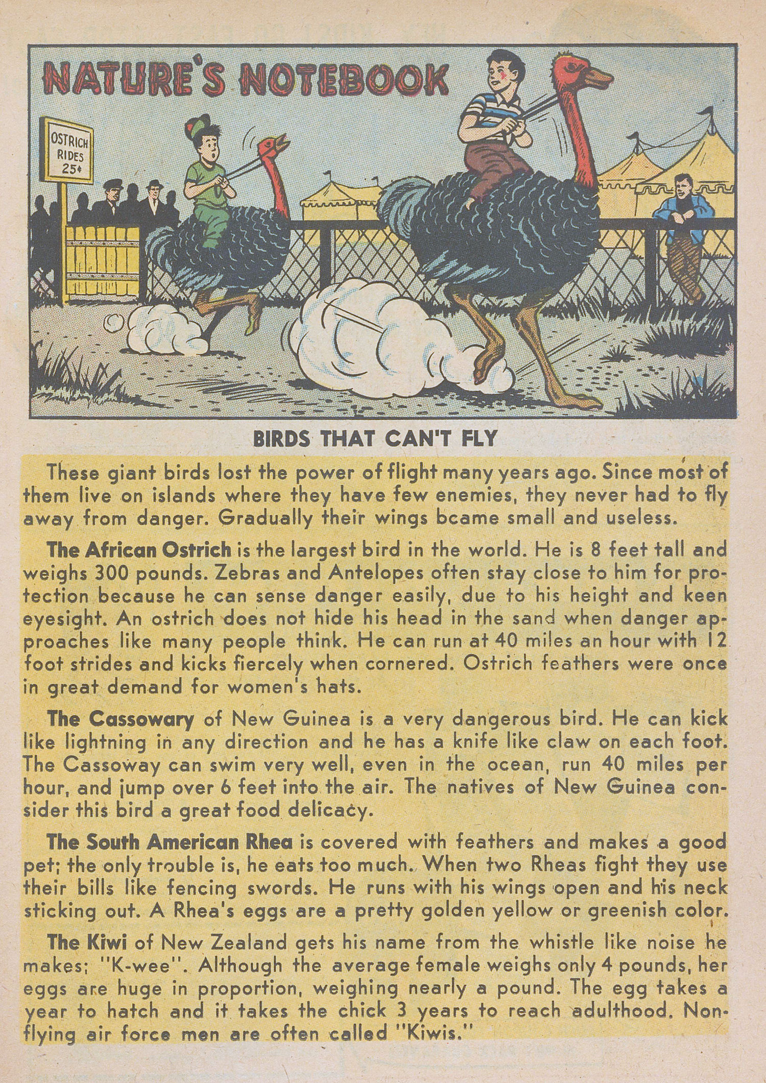 Read online Wilbur Comics comic -  Issue #79 - 11