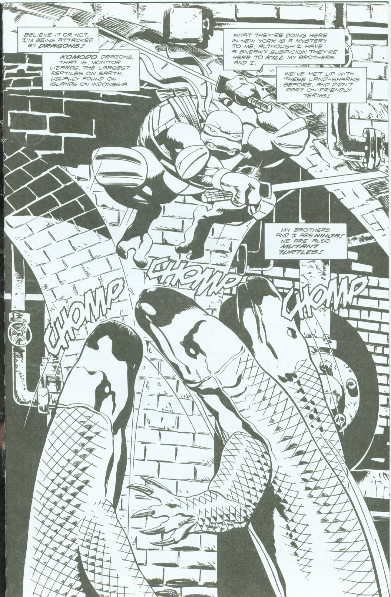 Read online Teenage Mutant Ninja Turtles (1996) comic -  Issue #18 - 3