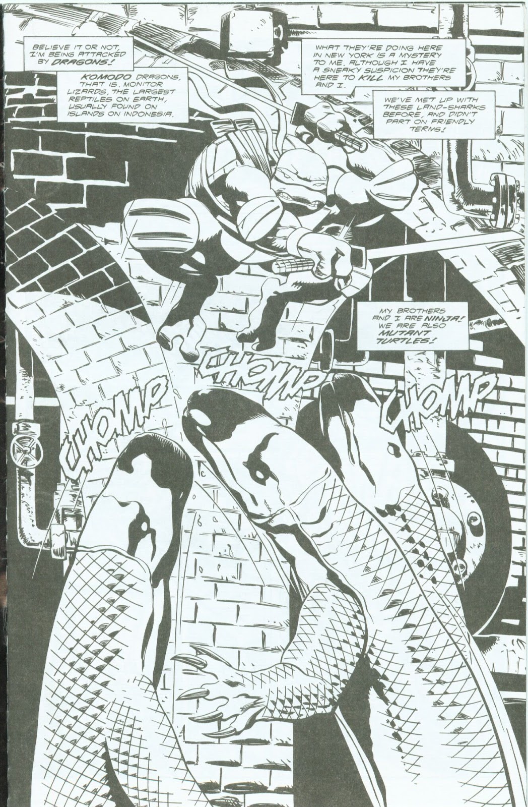 Teenage Mutant Ninja Turtles (1996) Issue #18 #18 - English 3