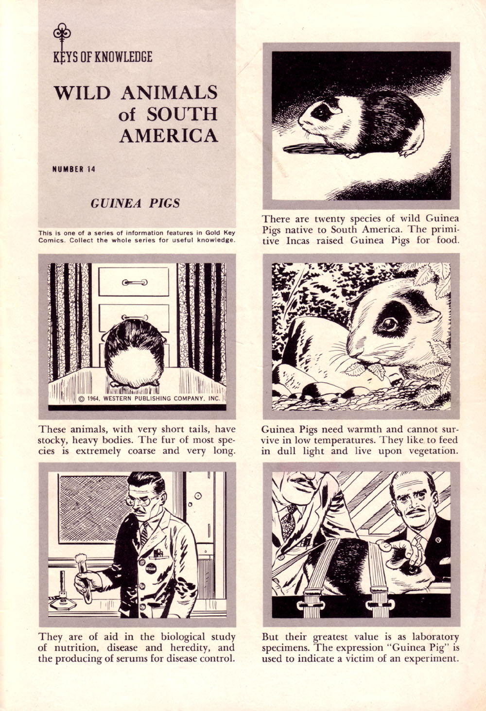 Read online Korak, Son of Tarzan (1964) comic -  Issue #3 - 35