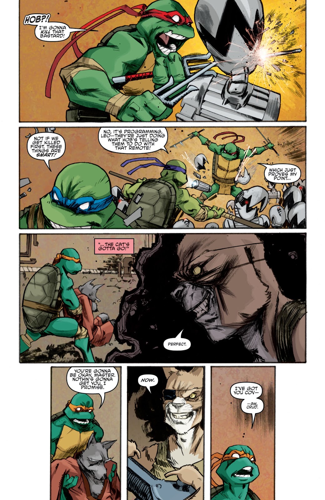 Teenage Mutant Ninja Turtles (2011) issue 8 - Page 5