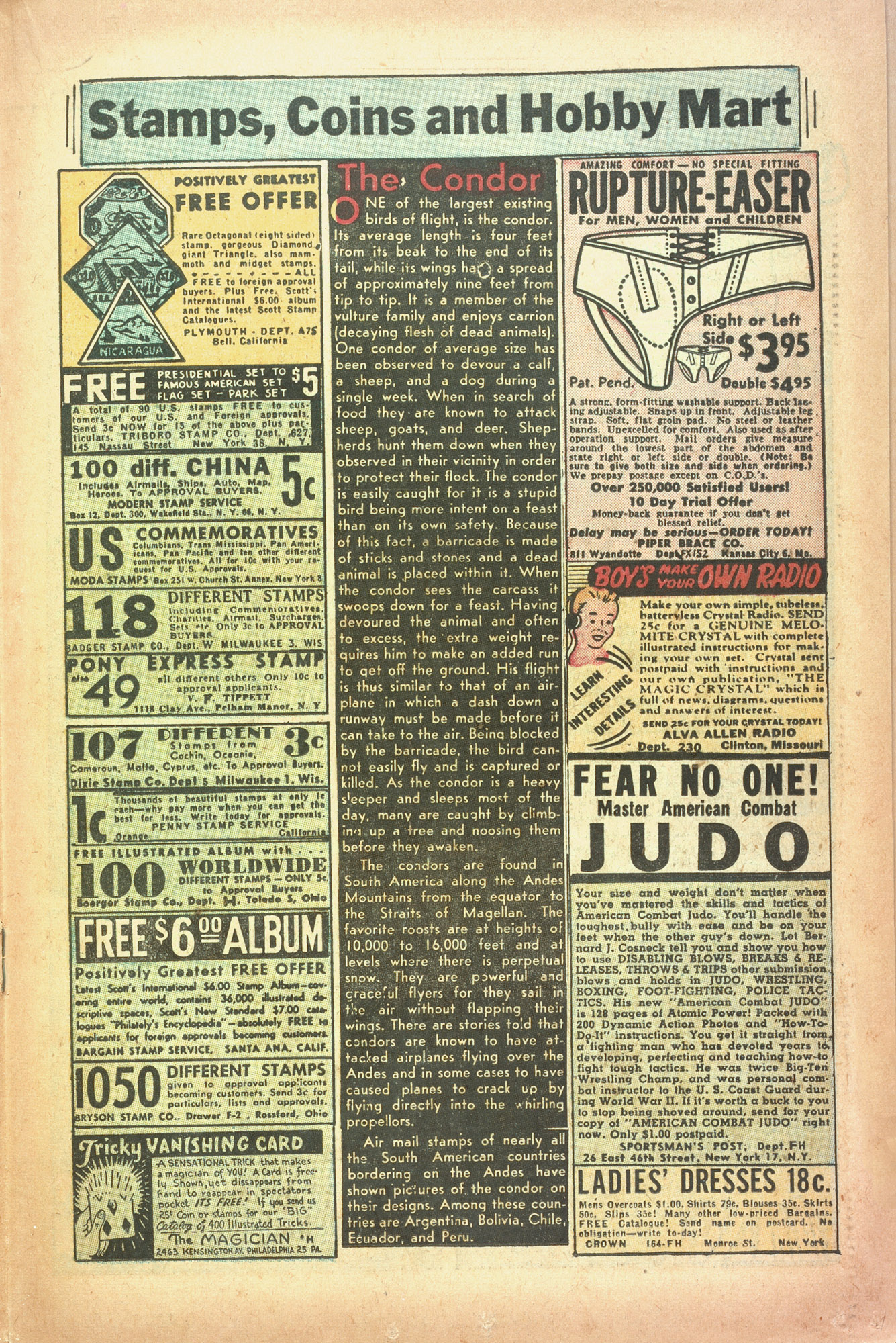 Read online Rangers Comics comic -  Issue #63 - 19