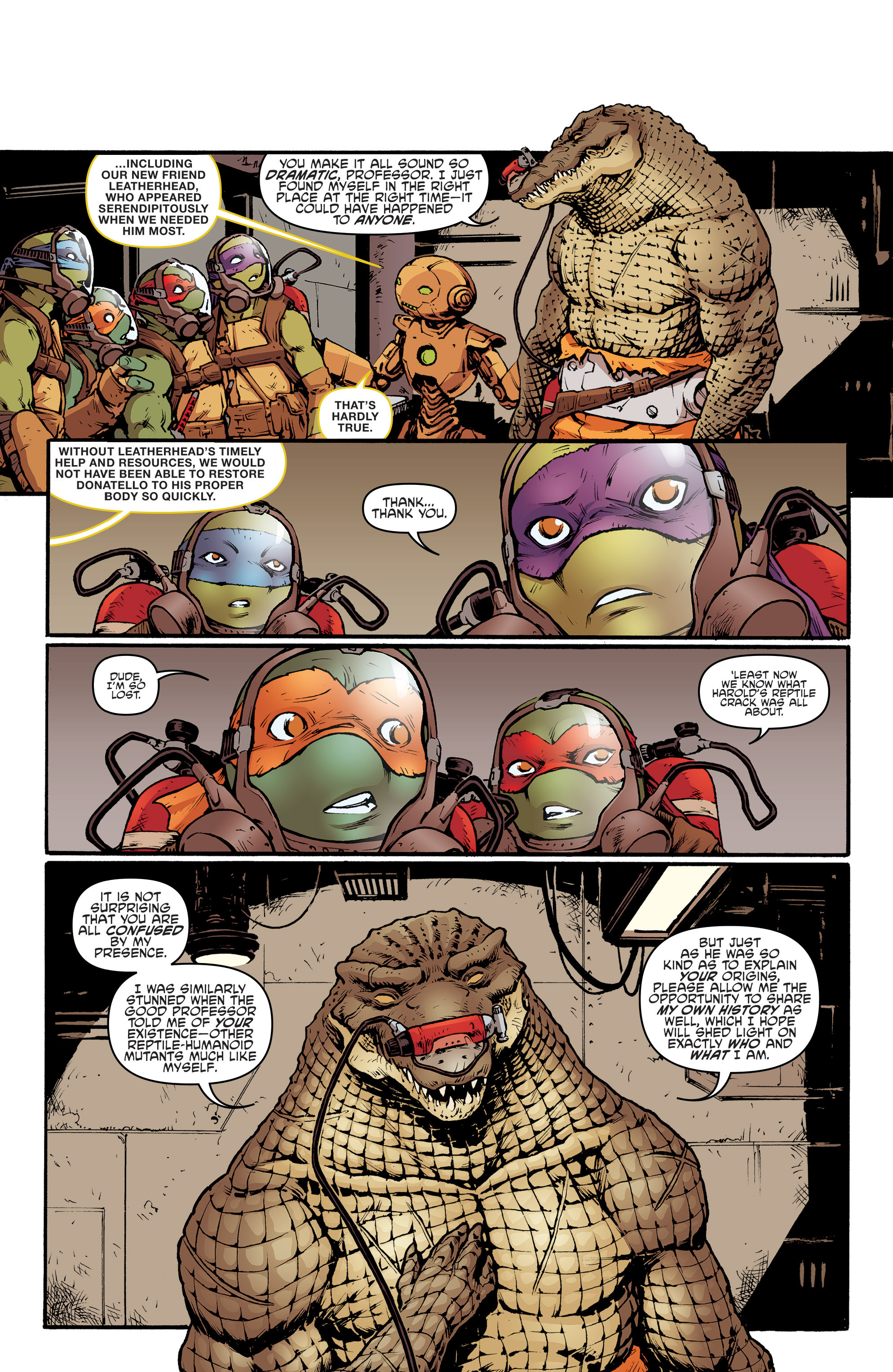 Read online Teenage Mutant Ninja Turtles (2011) comic -  Issue #56 - 12