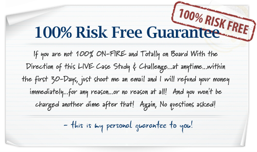 [WSO] – Daily Income Revolution
