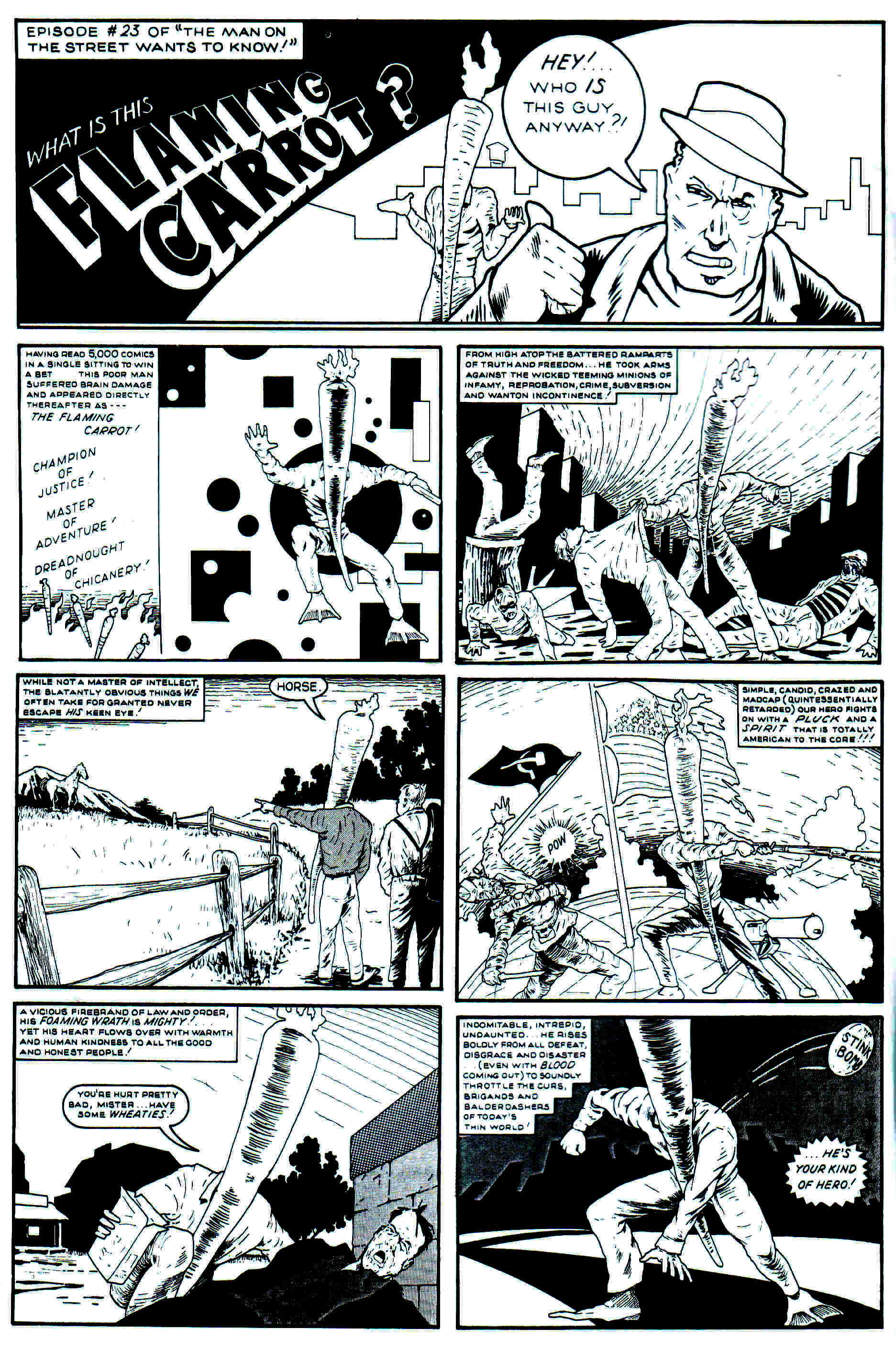 Read online Flaming Carrot Comics (1988) comic -  Issue #24 - 2