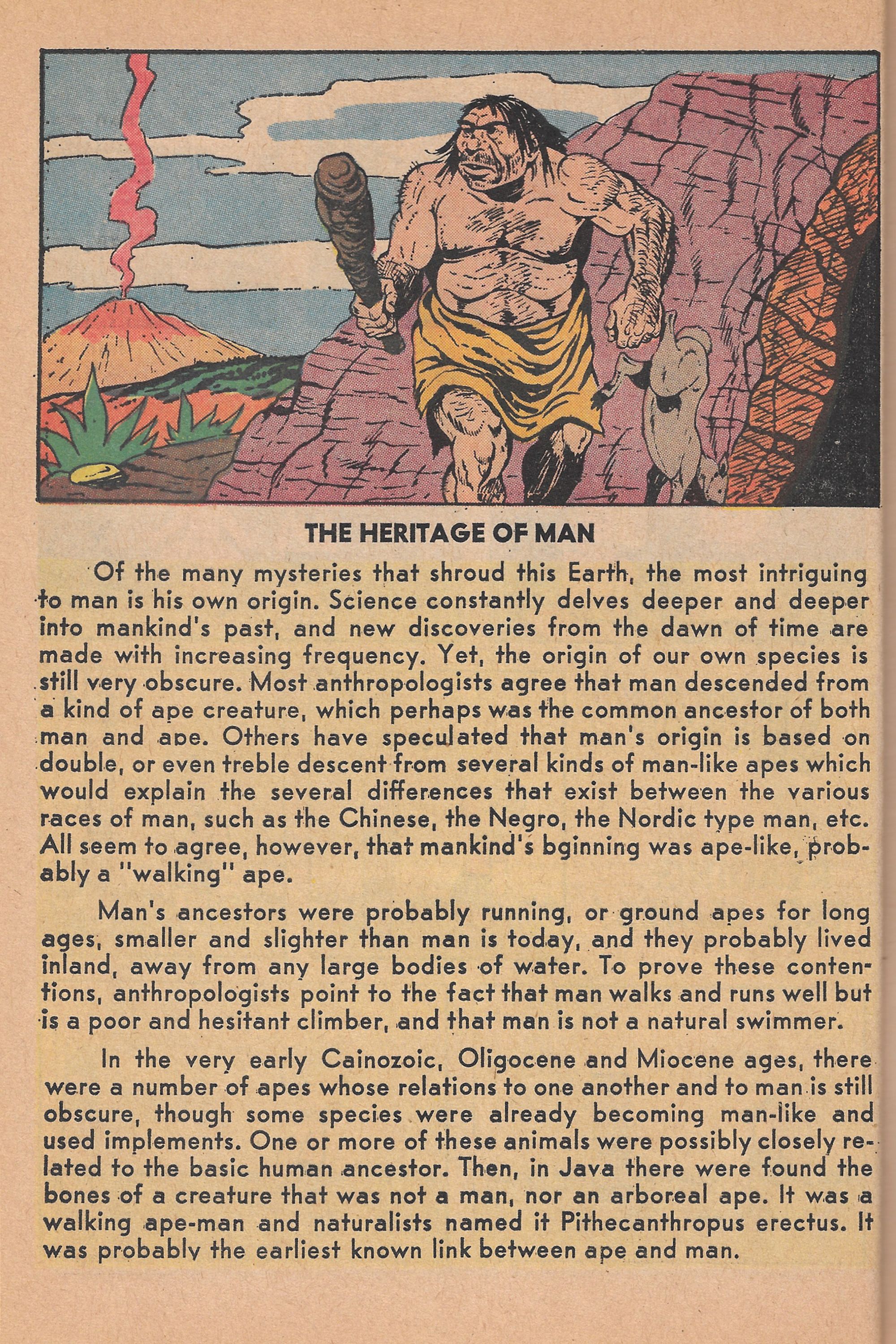 Read online Archie's Pals 'N' Gals (1952) comic -  Issue #16 - 36