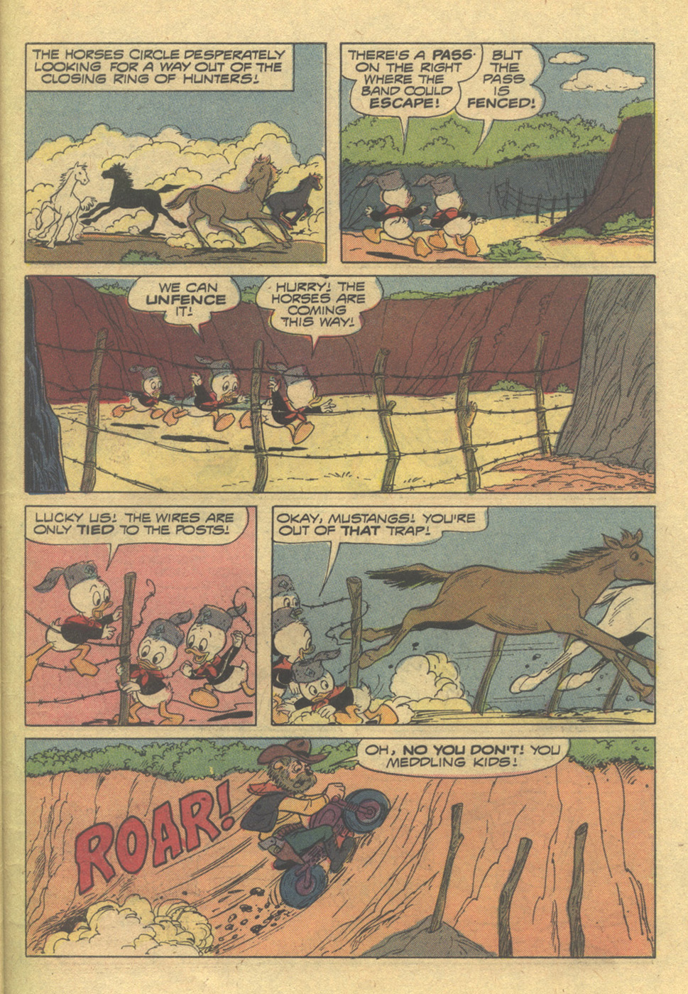 Read online Huey, Dewey, and Louie Junior Woodchucks comic -  Issue #13 - 26