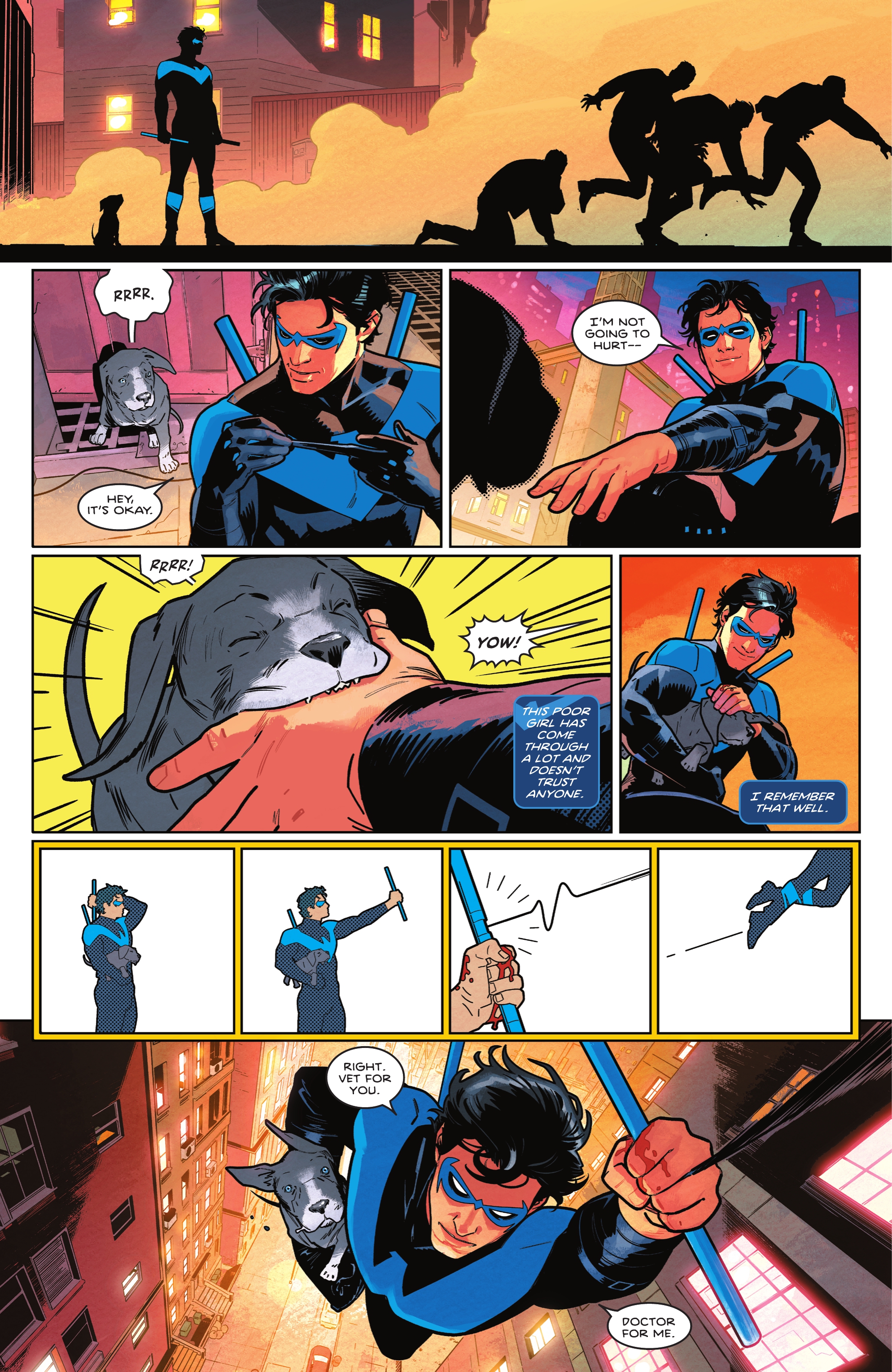 Read online Nightwing (2016) comic -  Issue #78 - 12