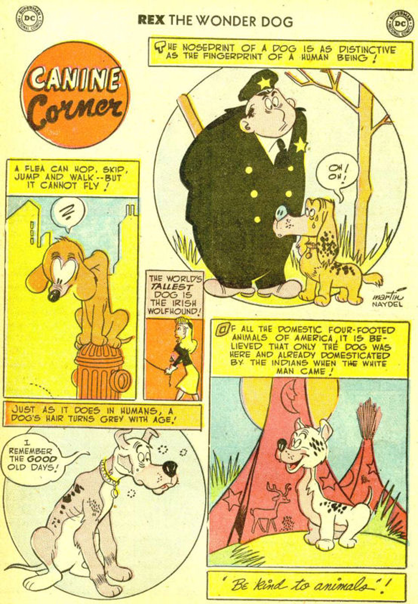 Read online The Adventures of Rex the Wonder Dog comic -  Issue #3 - 24