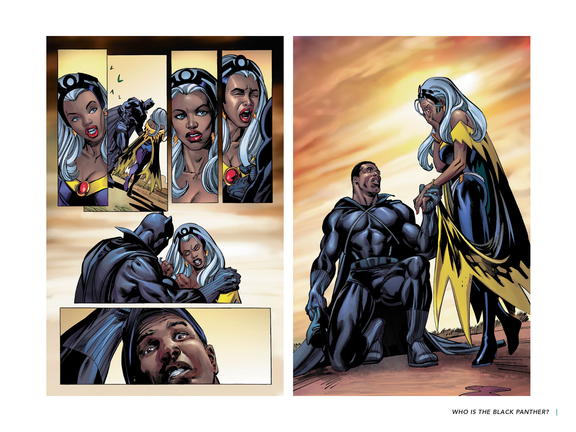 Read online Black Panther: Visions of Wakanda comic -  Issue # TPB (Part 3) - 3