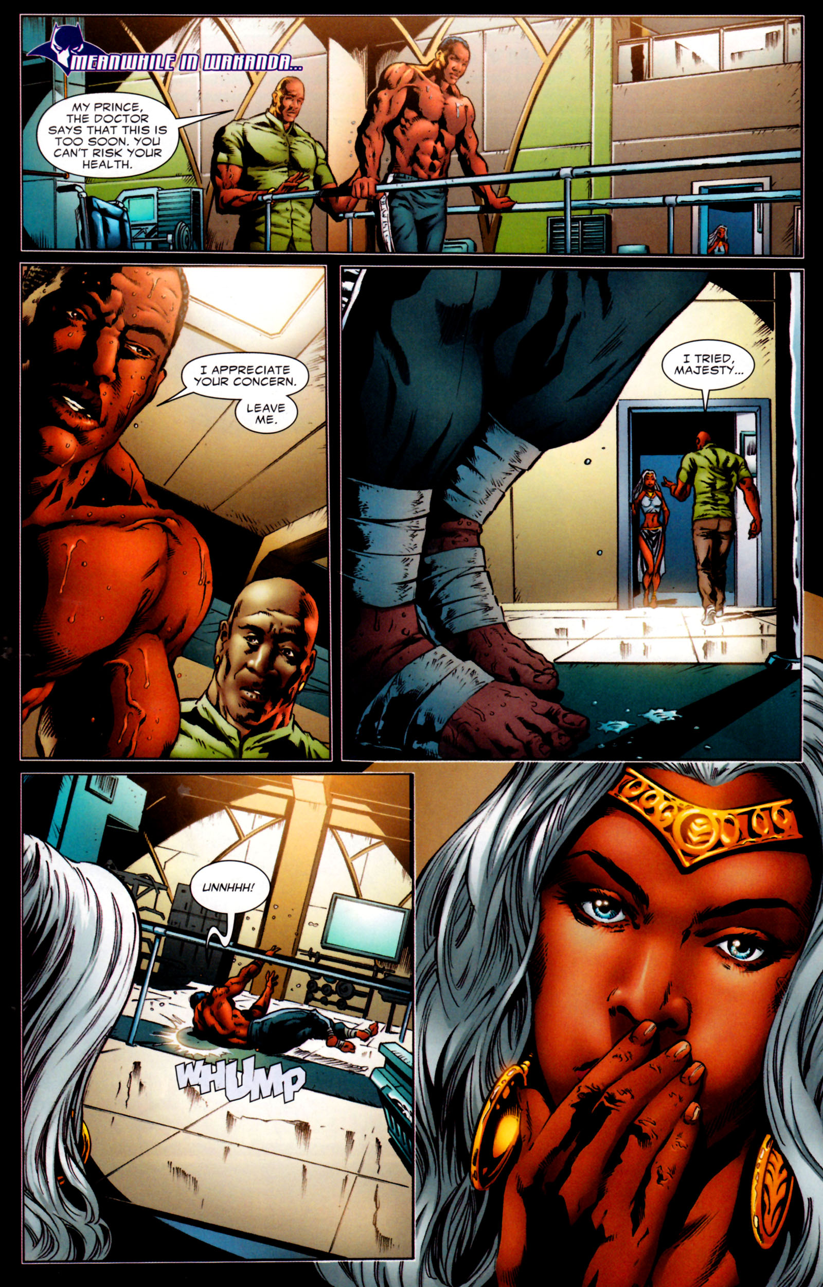 Read online Black Panther (2009) comic -  Issue #7 - 19