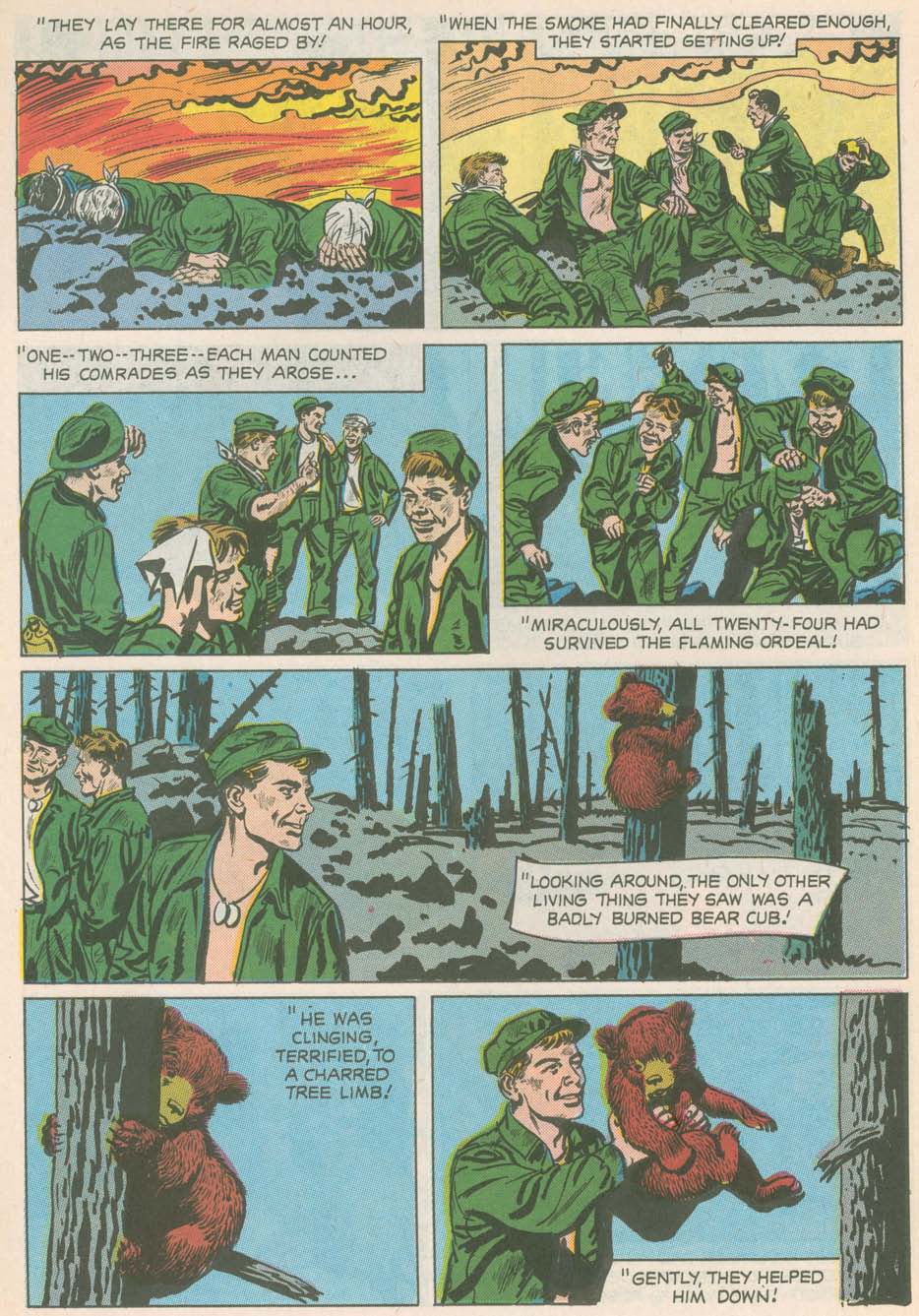 Read online The True Story of Smokey  Bear comic -  Issue # Full - 11