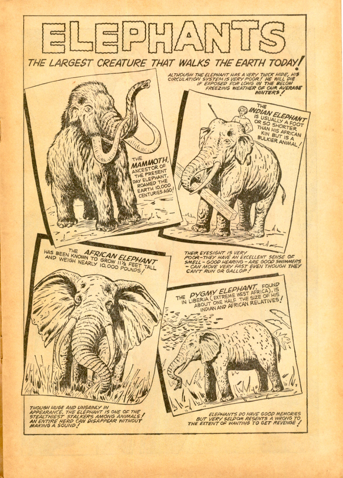 Read online Jungle Adventures (1963) comic -  Issue #15 - 3