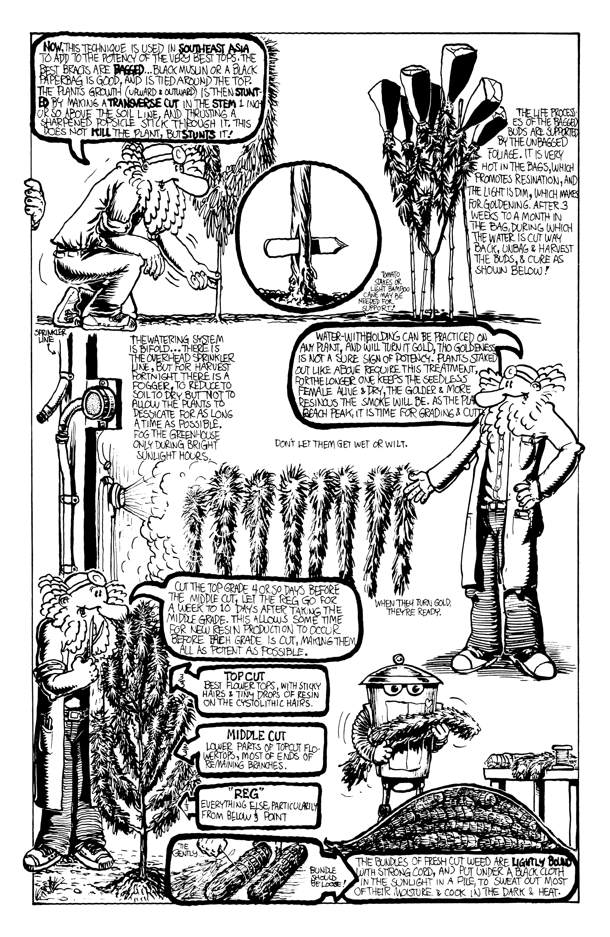 Read online Dr. Atomic: Pipe & Dope Book comic -  Issue # Full - 20