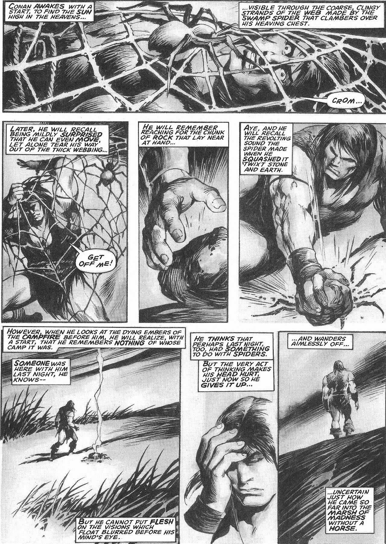 Read online The Savage Sword Of Conan comic -  Issue #207 - 24