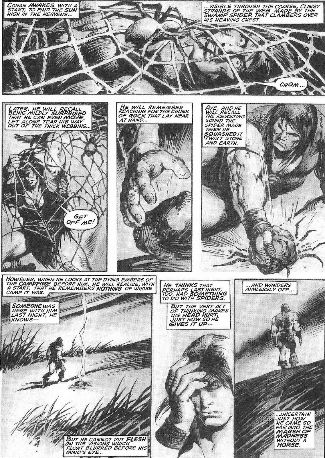 The Savage Sword Of Conan issue 207 - Page 24