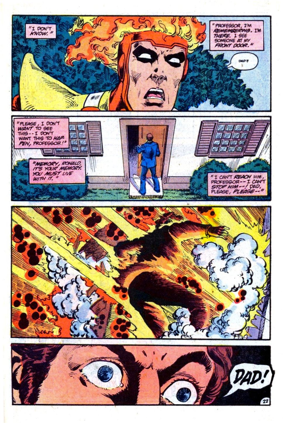 The Fury of Firestorm Issue #16 #20 - English 23