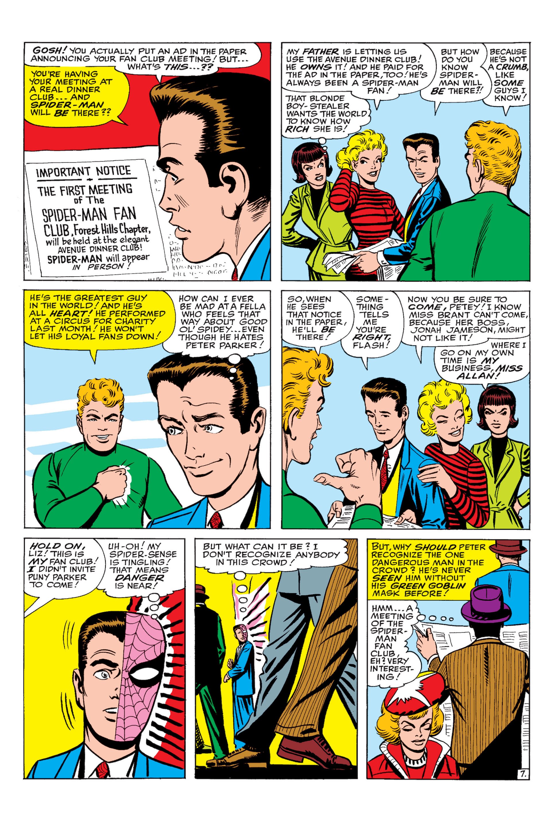 Read online The Amazing Spider-Man (1963) comic -  Issue #17 - 8