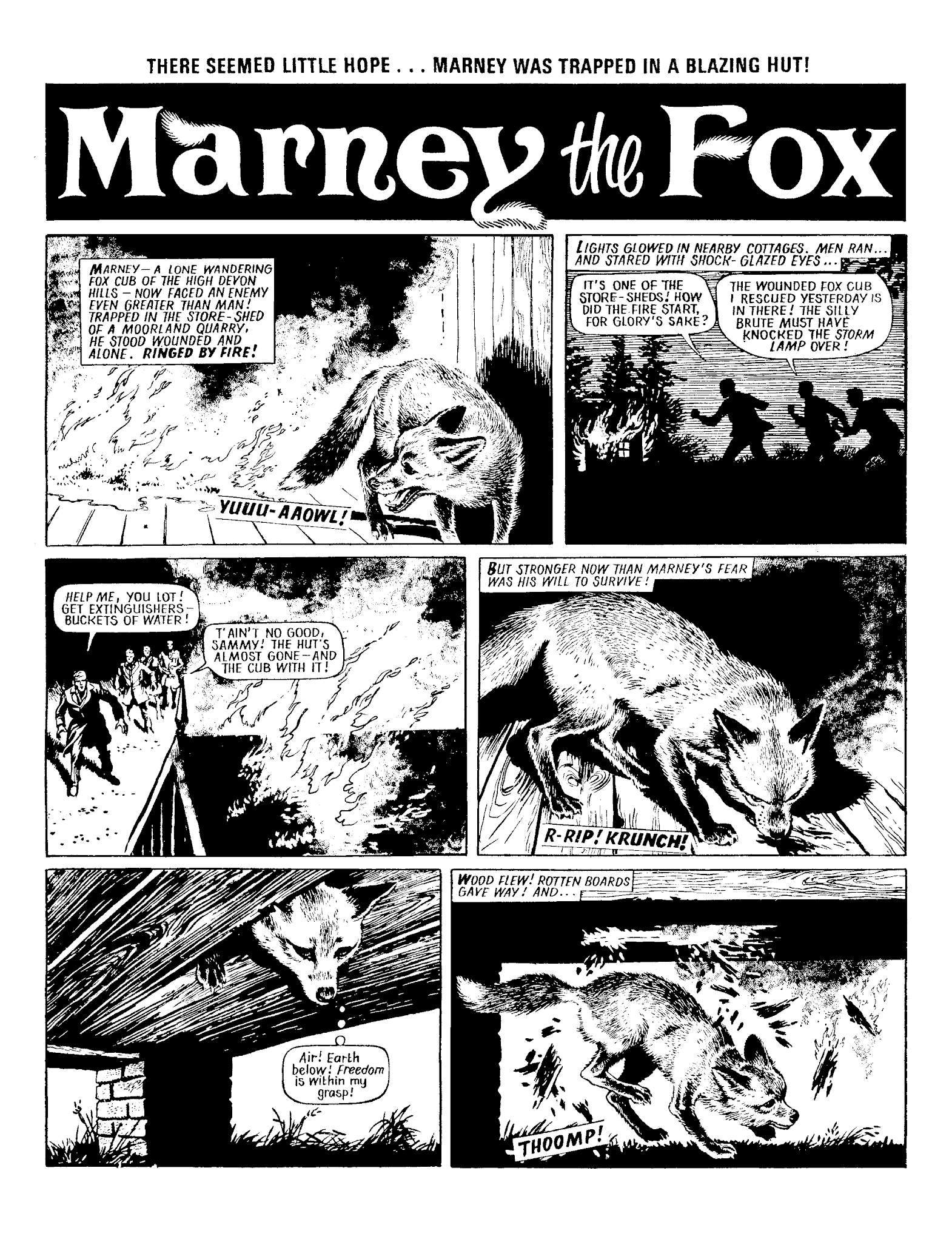 Read online Marney the Fox comic -  Issue # TPB (Part 1) - 19