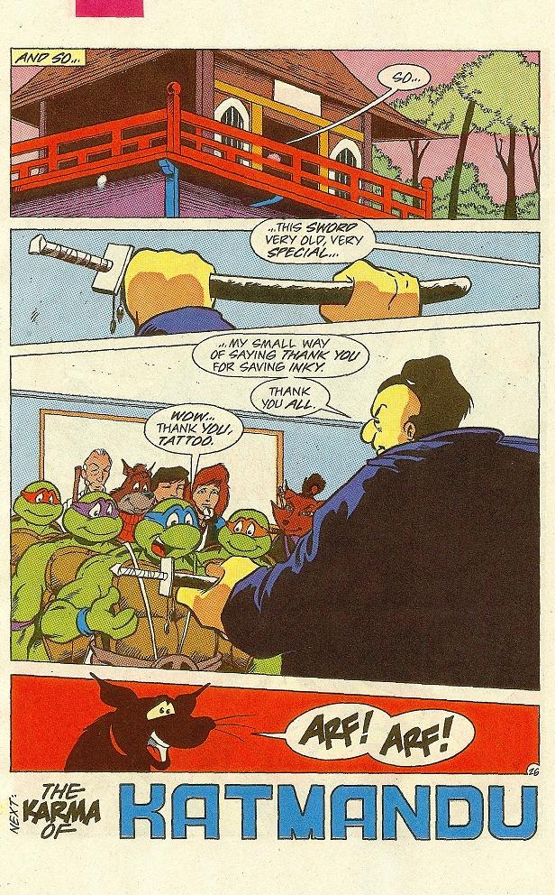 Read online Teenage Mutant Ninja Turtles Adventures (1989) comic -  Issue #32 - 27