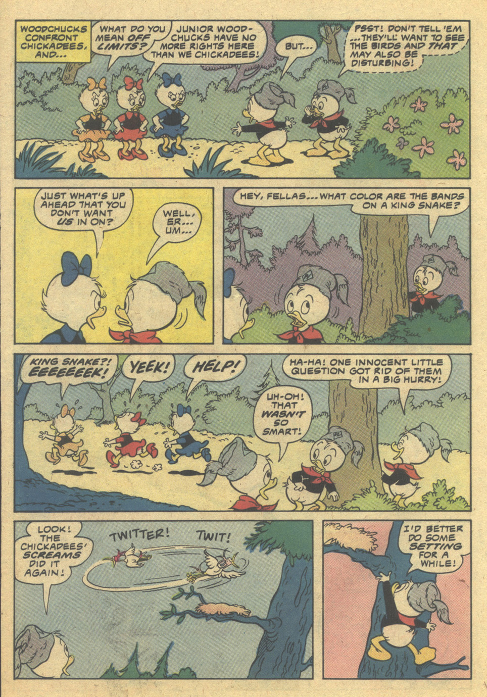 Huey, Dewey, and Louie Junior Woodchucks issue 62 - Page 22