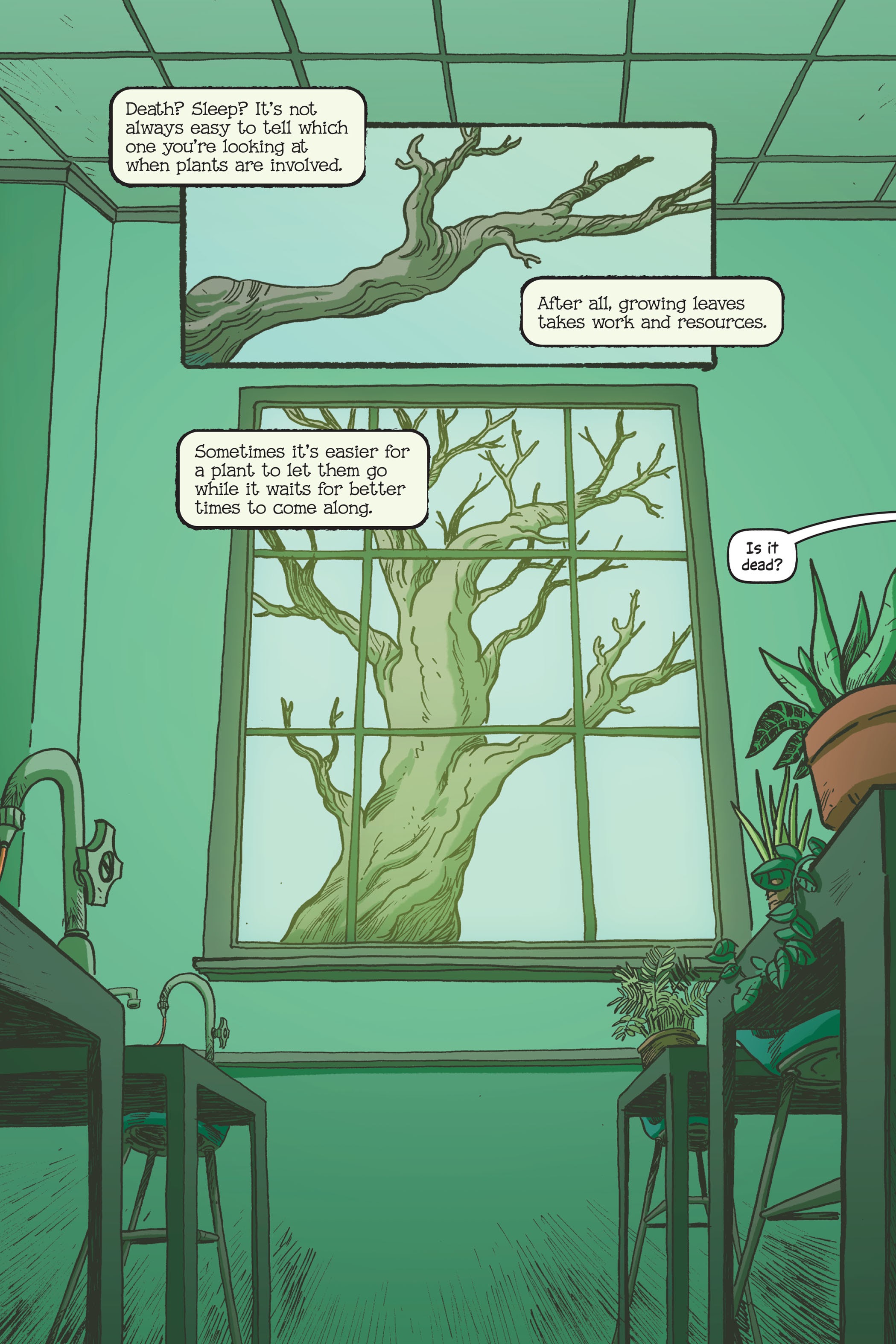 Read online Swamp Thing: Twin Branches comic -  Issue # TPB (Part 1) - 80