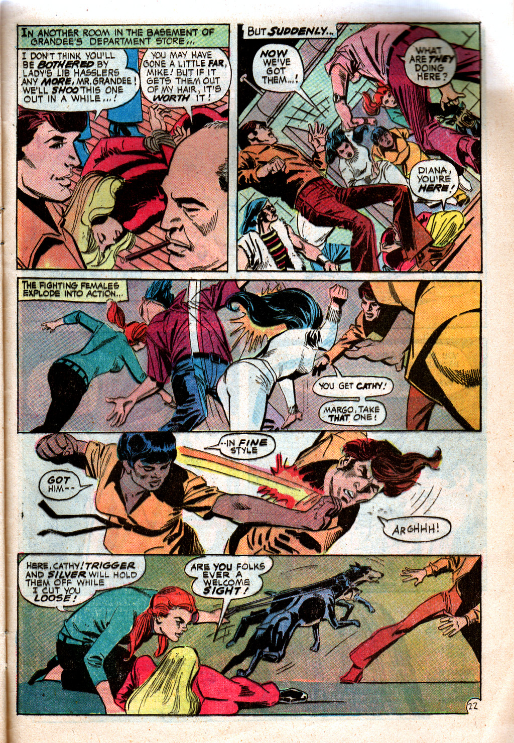 Wonder Woman (1942) issue 203 - Page 27