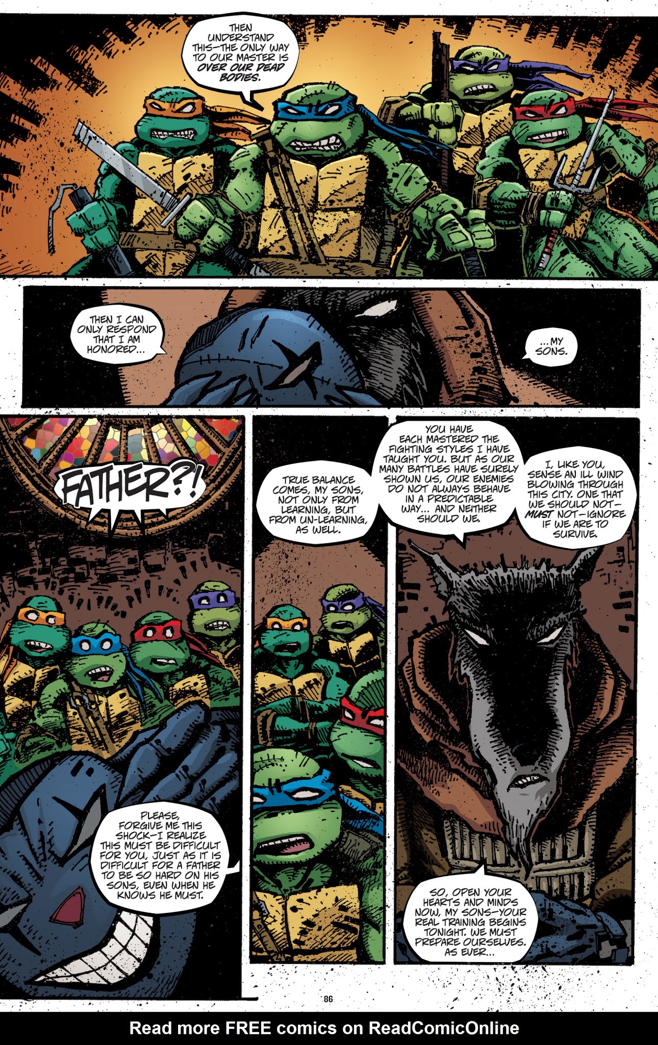 Read online Teenage Mutant Ninja Turtles: The IDW Collection comic -  Issue # TPB 3 (Part 1) - 85