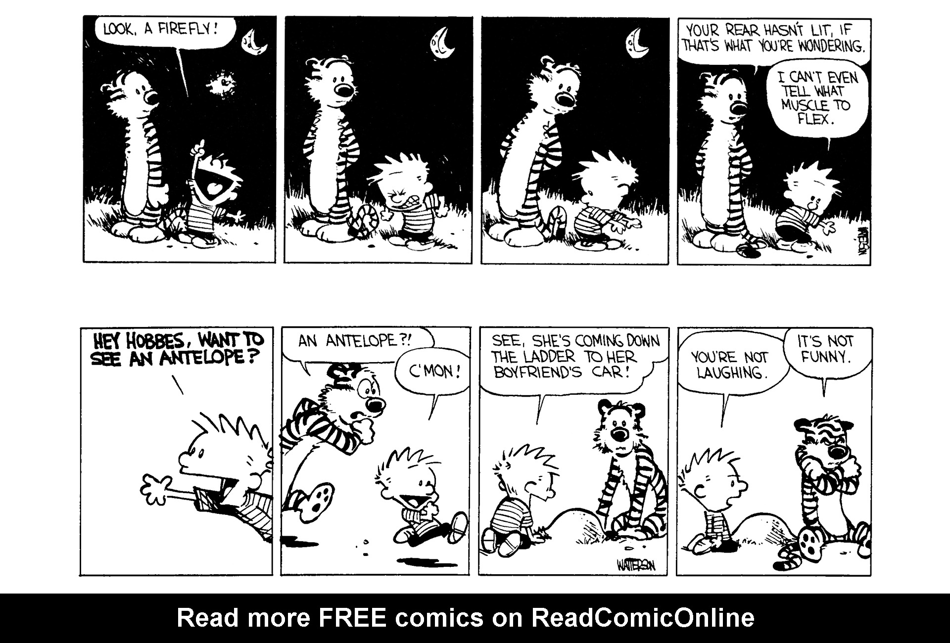 Read online Calvin and Hobbes comic -  Issue #3 - 28
