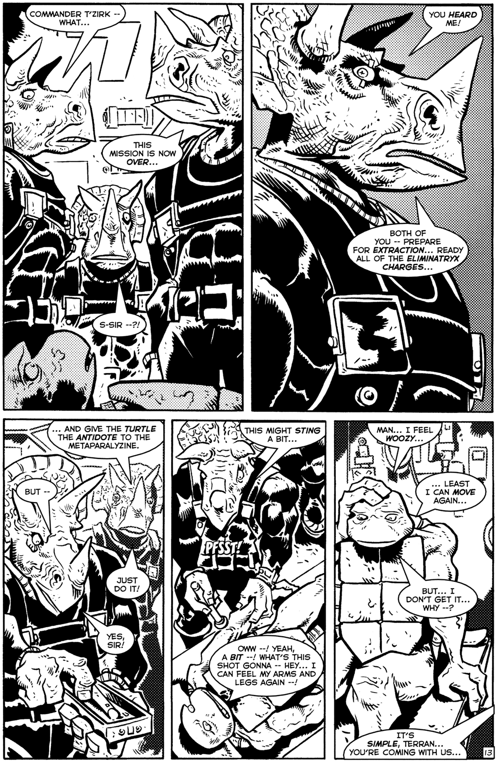 TMNT: Teenage Mutant Ninja Turtles issue 27 - Page 15