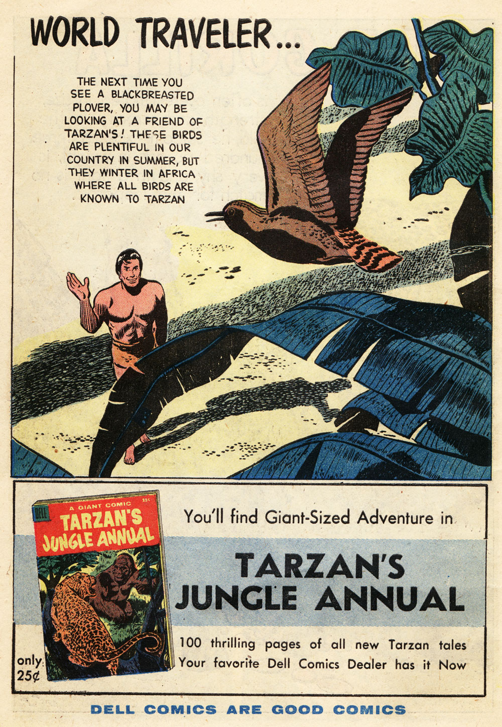 Read online Tarzan (1948) comic -  Issue #71 - 34