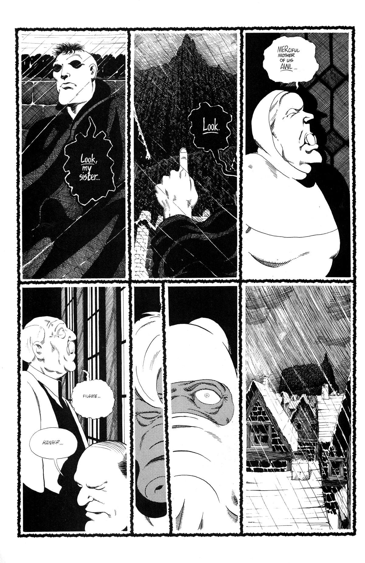 Read online Cerebus comic -  Issue #166 - 14