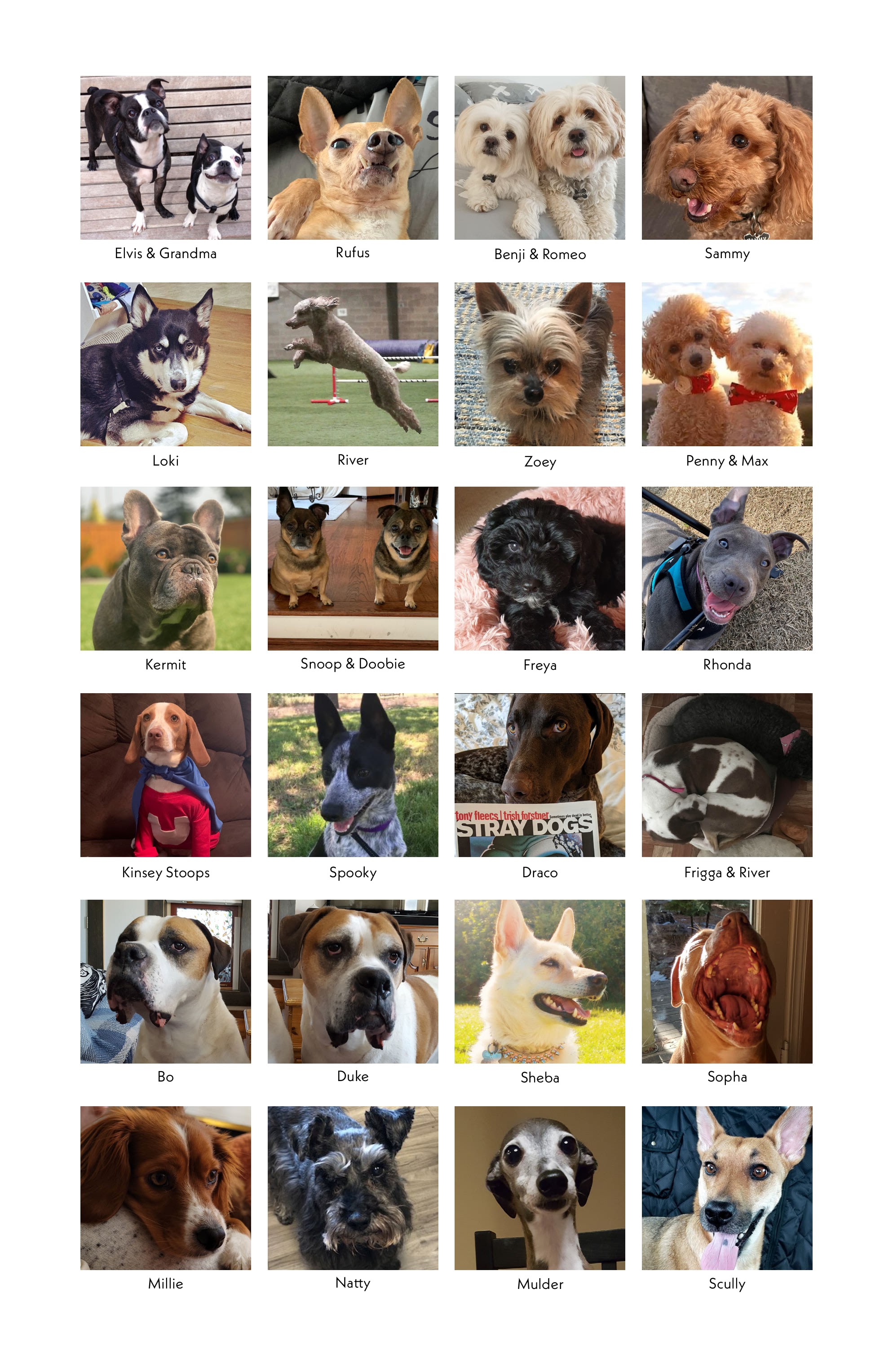 Read online Stray Dogs comic -  Issue #5 - 30