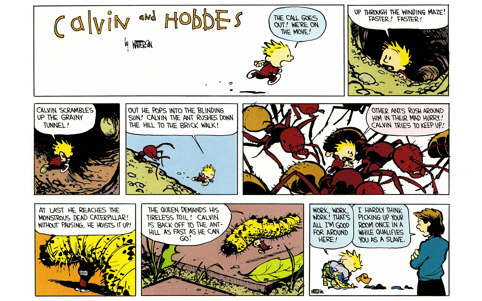 Read online Calvin and Hobbes comic -  Issue #4 - 50