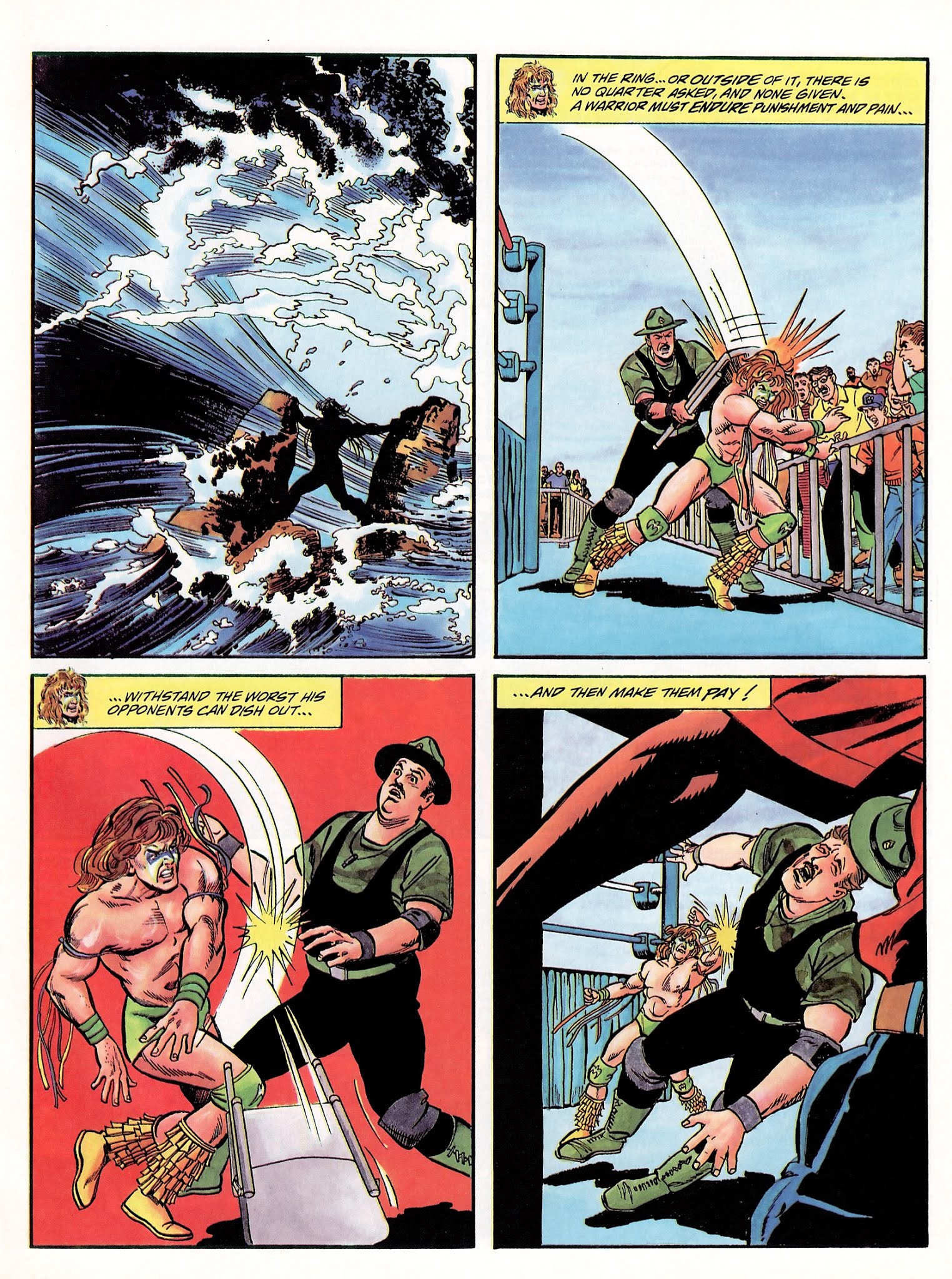 Read online WWF Battlemania comic -  Issue #2 - 17