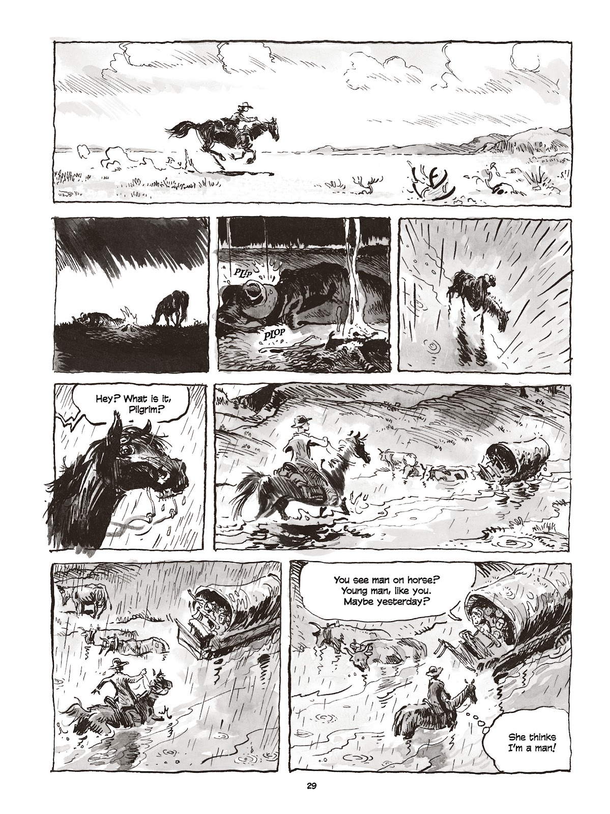 Calamity Jane: The Calamitous Life of Martha Jane Cannary issue TPB (Part 1) - Page 29