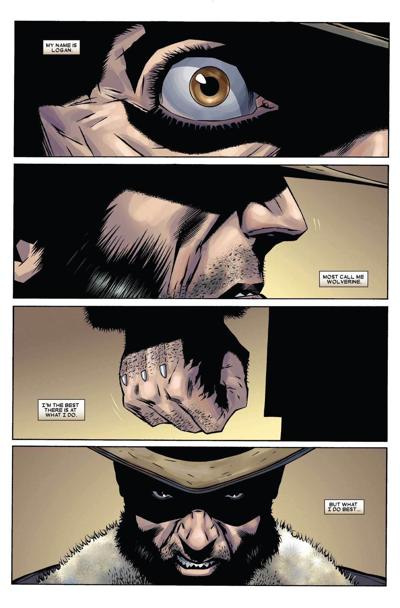Read online Wolverine: Blood & Sorrow comic -  Issue # TPB - 89
