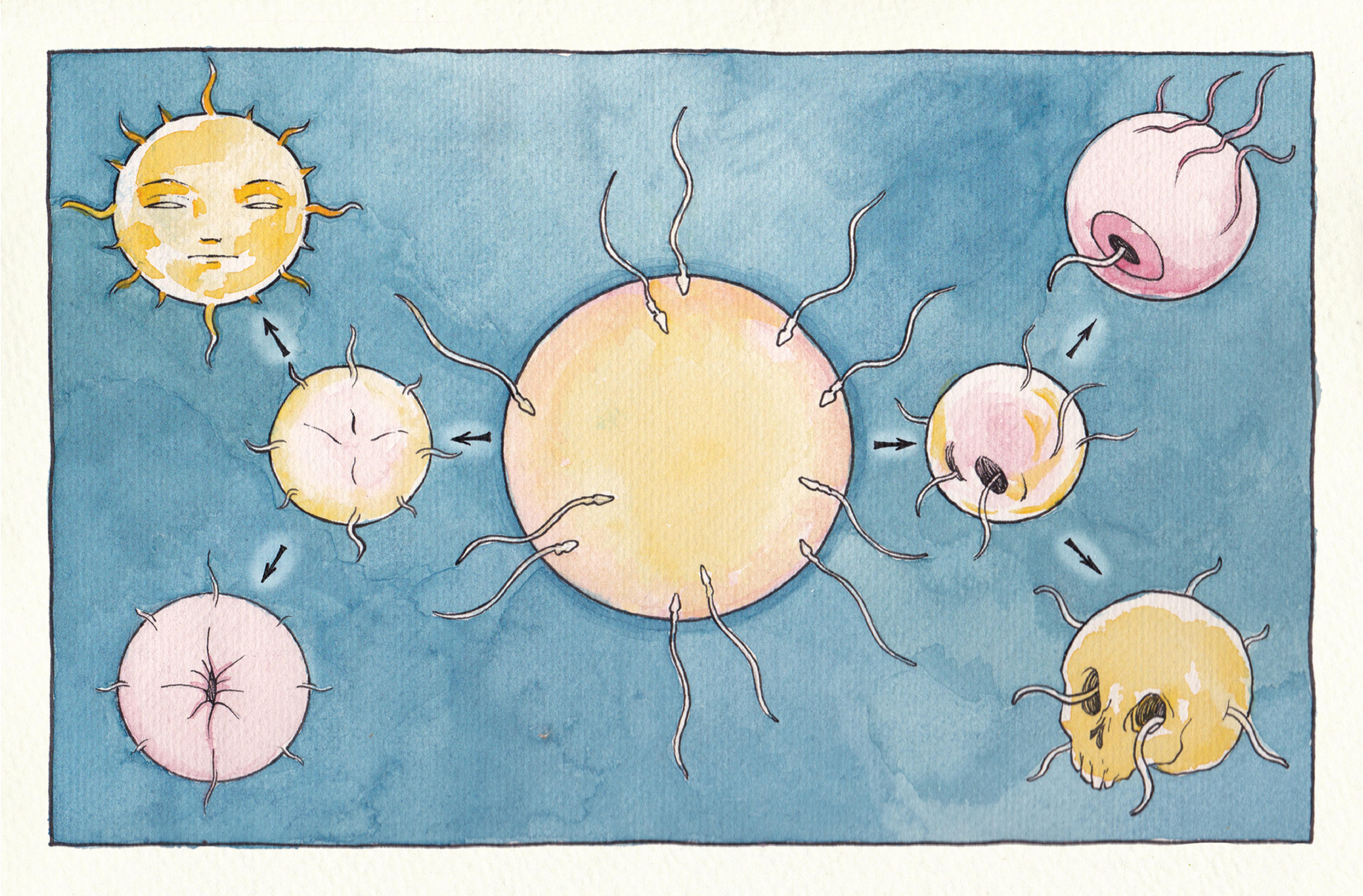 Read online Vivisectionary comic -  Issue # TPB - 44