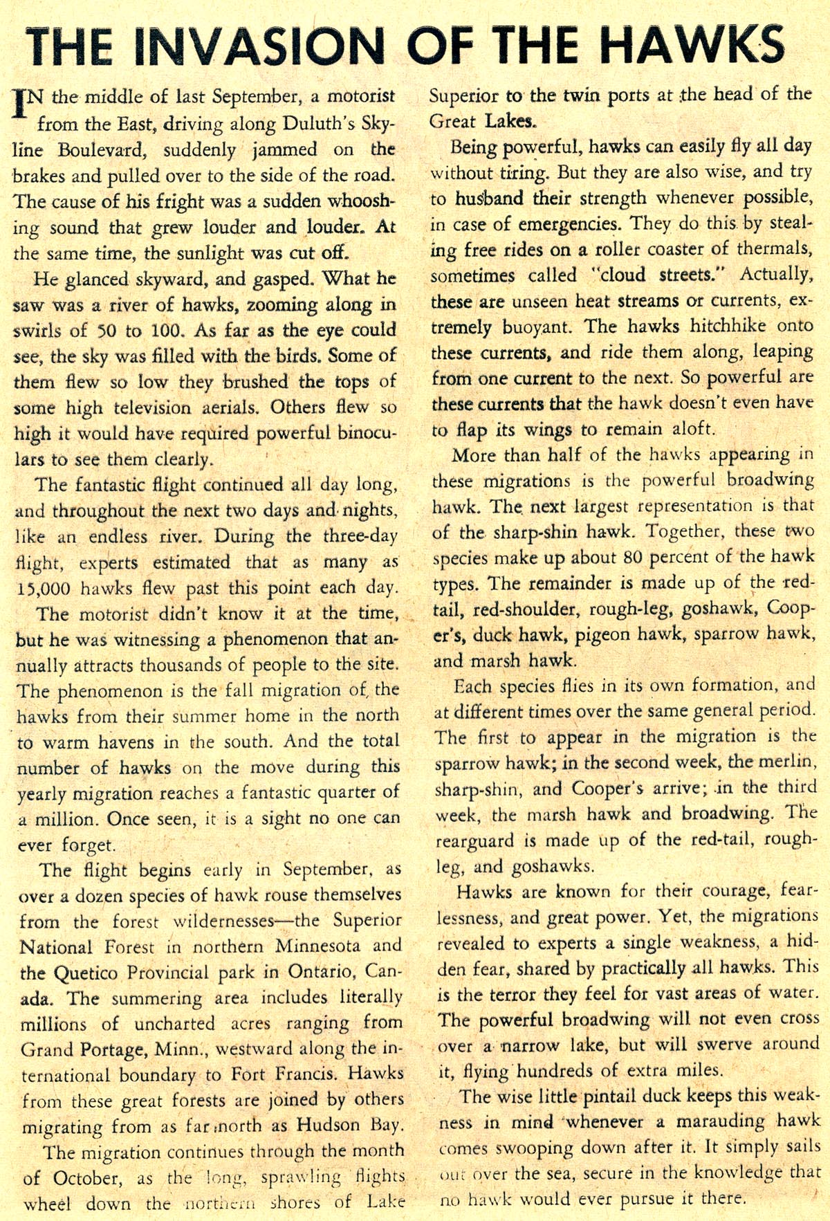 Blackhawk (1957) Issue #177 #70 - English 24
